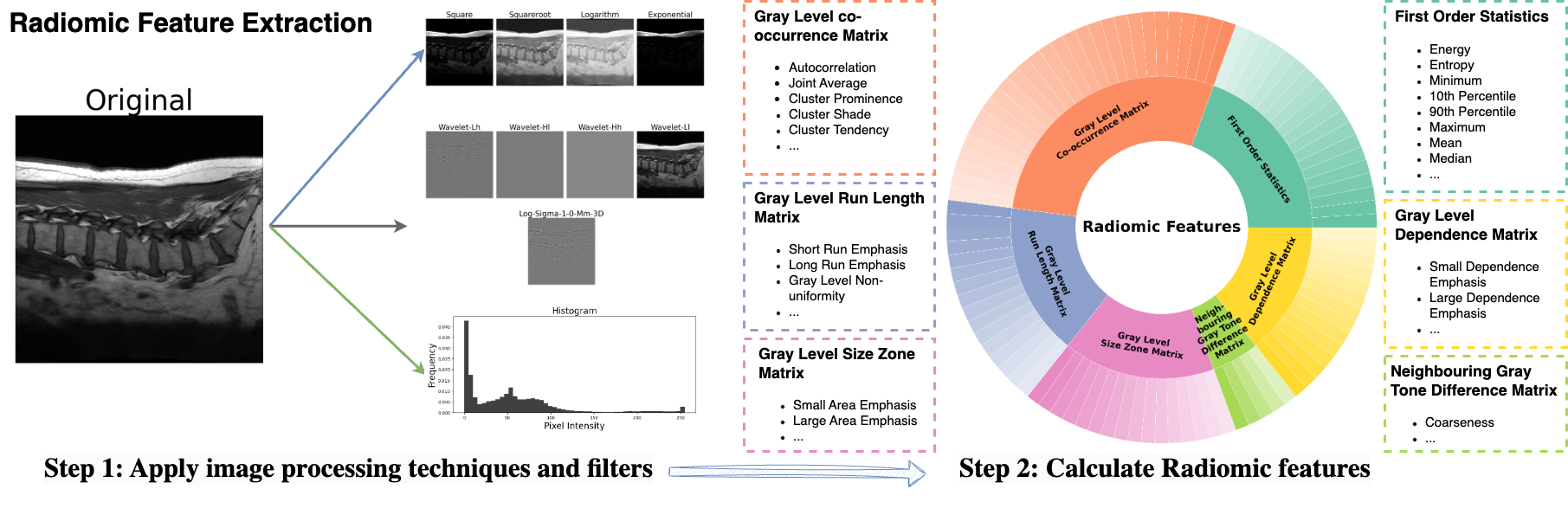 Radiomic feature categories